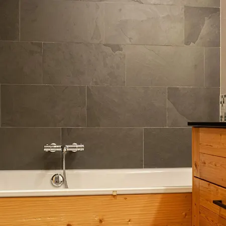 Appartement Montagnard 10 By Interhome Nendaz