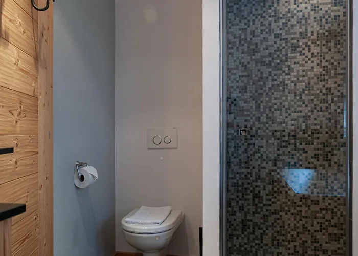 Montagnard 10 By Interhome *