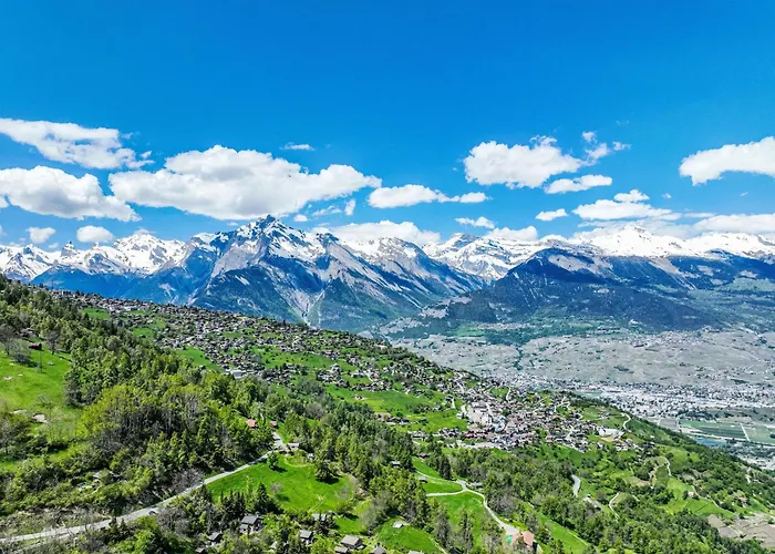 Apartment Montagnard 10